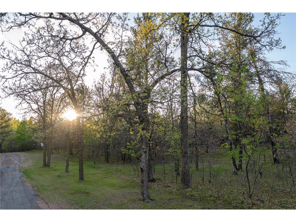 2696 275th Street Sterling Twp WI 54024 7087289 image65