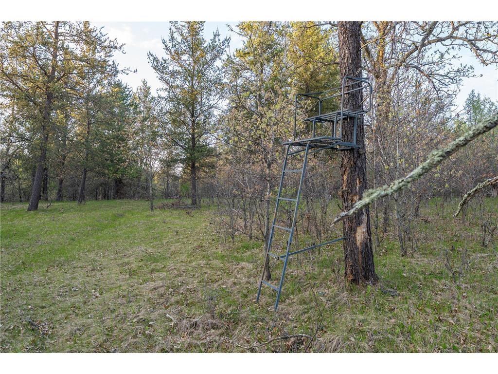 2696 275th Street Sterling Twp WI 54024 7087289 image67
