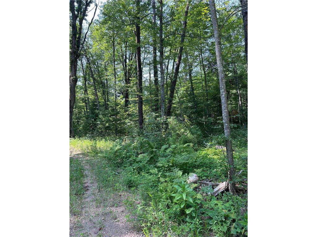 26987 Marias Way Webster WI 54893 6808839 image1