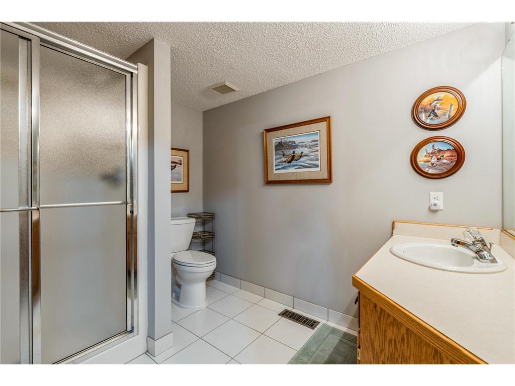 26991 140th Street NW Livonia Twp MN 55398 7077991 image31