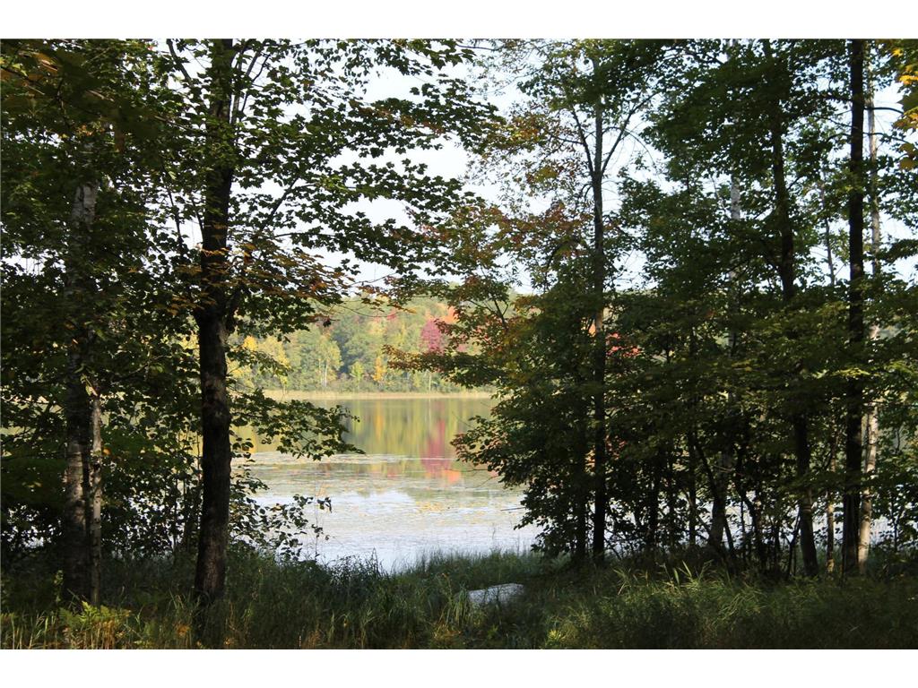 26999 Old Mill Road Merrifield MN 56465 - Bonnie 6439514 image1