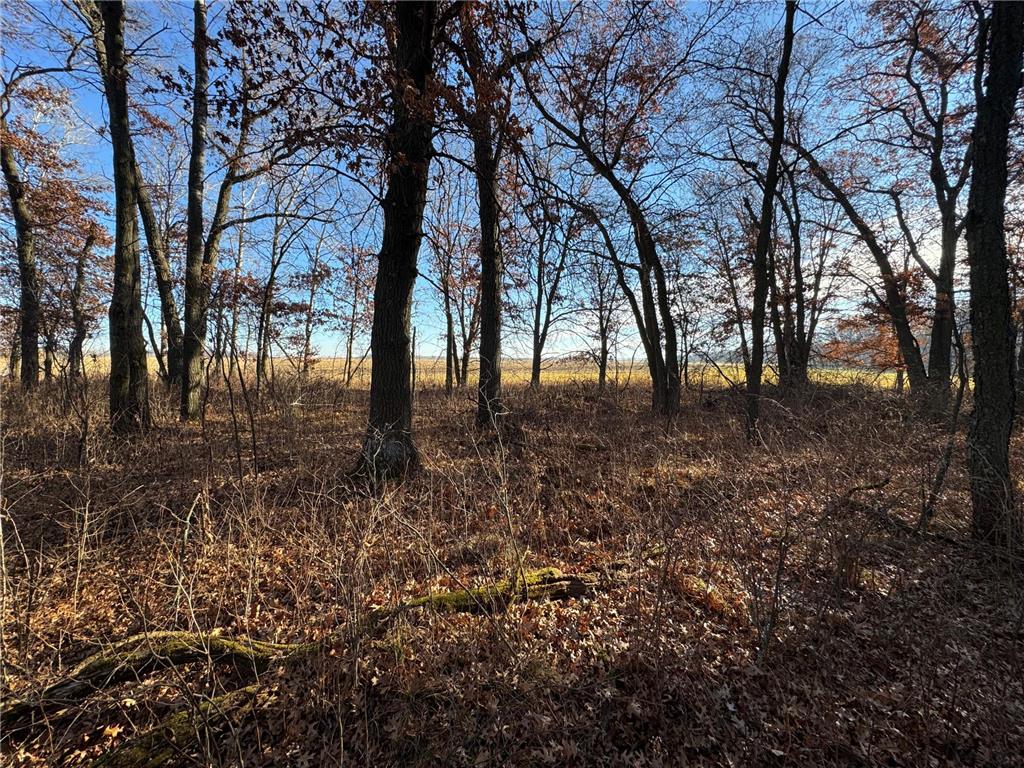 26XXX 175th Ave Fort Ripley MN 56449 6821455 image10