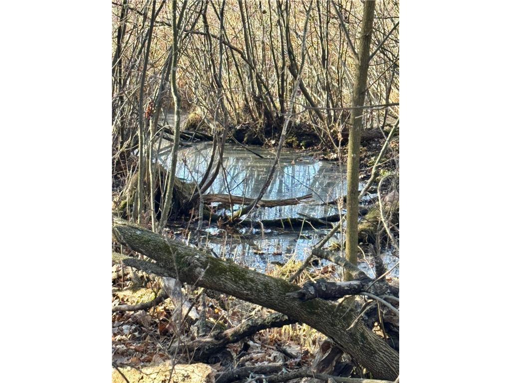 26XXX 175th Ave Fort Ripley MN 56449 6821455 image11