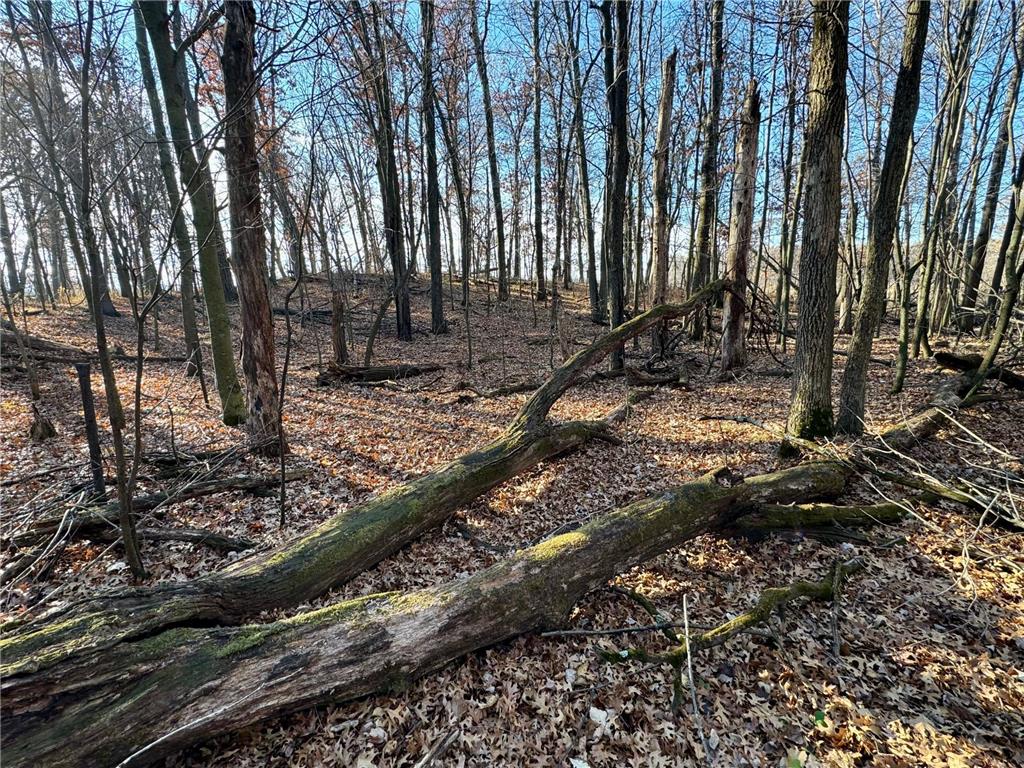 26XXX 175th Ave Fort Ripley MN 56449 6821455 image12