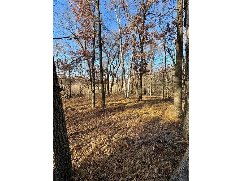 26XXX 175th Ave Fort Ripley MN 56449 6821455 image13