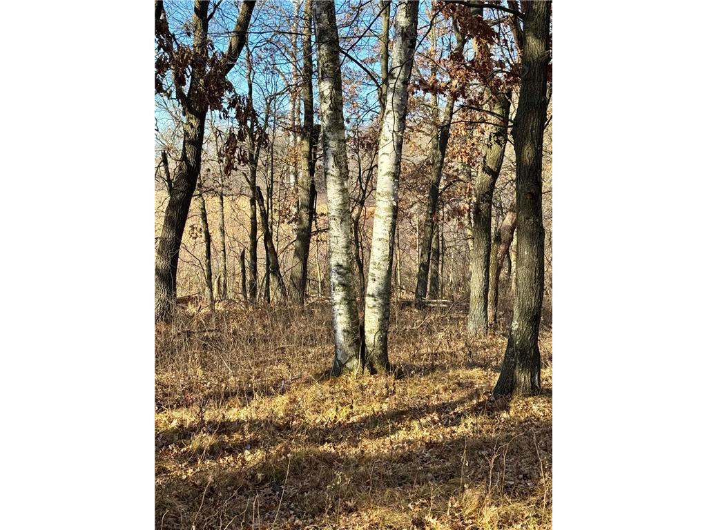 26XXX 175th Ave Fort Ripley MN 56449 6821455 image14