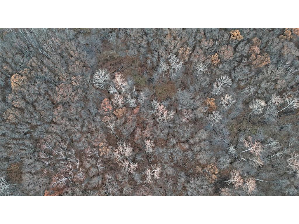 26XXX 175th Ave Fort Ripley MN 56449 6821455 image24