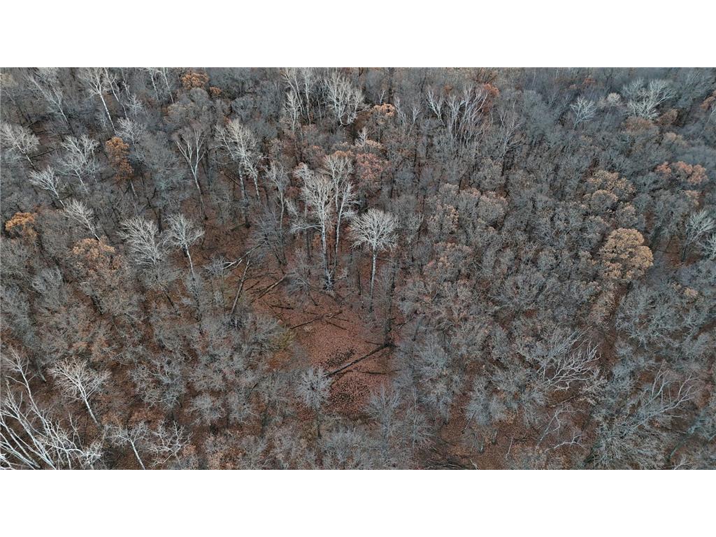 26XXX 175th Ave Fort Ripley MN 56449 6821455 image26