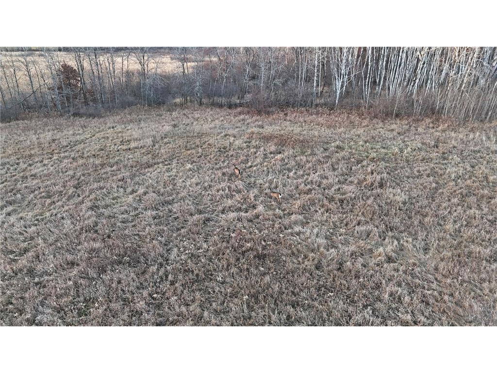 26XXX 175th Ave Fort Ripley MN 56449 6821455 image30