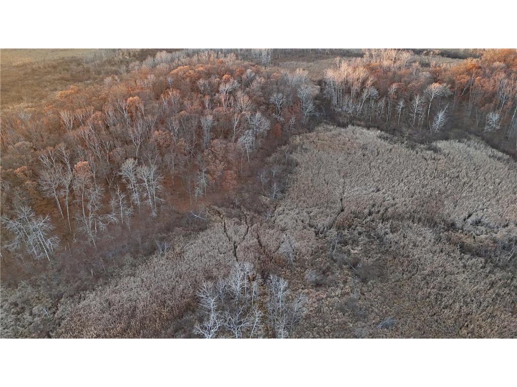 26XXX 175th Ave Fort Ripley MN 56449 6821455 image33