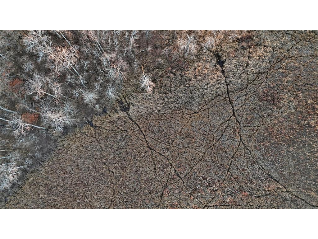 26XXX 175th Ave Fort Ripley MN 56449 6821455 image39