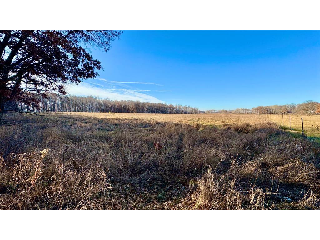 26XXX 175th Ave Fort Ripley MN 56449 6821455 image4