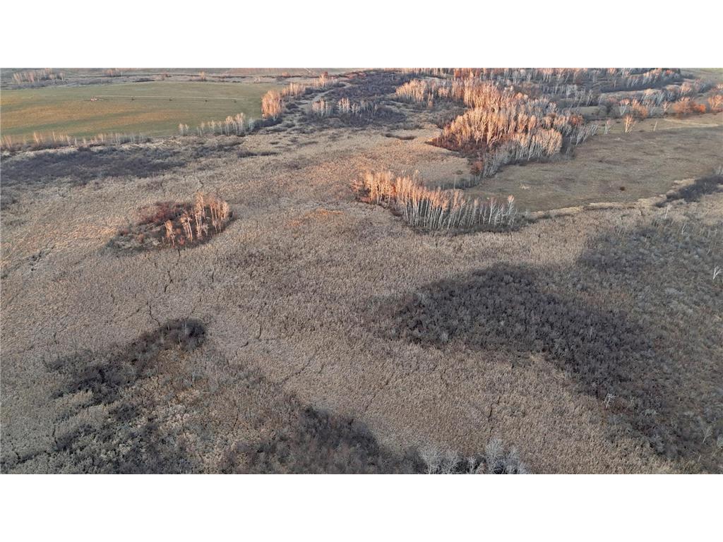 26XXX 175th Ave Fort Ripley MN 56449 6821455 image40