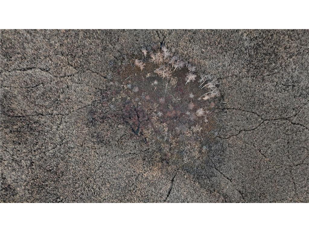 26XXX 175th Ave Fort Ripley MN 56449 6821455 image41