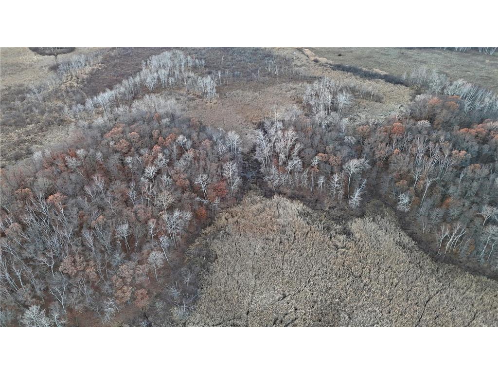 26XXX 175th Ave Fort Ripley MN 56449 6821455 image44