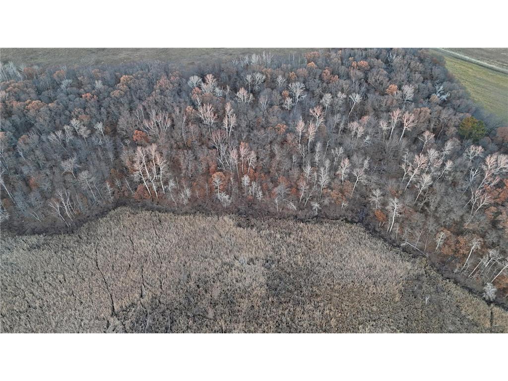 26XXX 175th Ave Fort Ripley MN 56449 6821455 image45