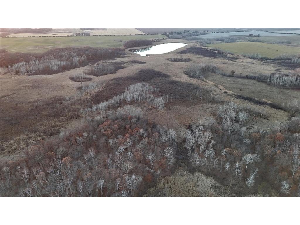 26XXX 175th Ave Fort Ripley MN 56449 6821455 image46