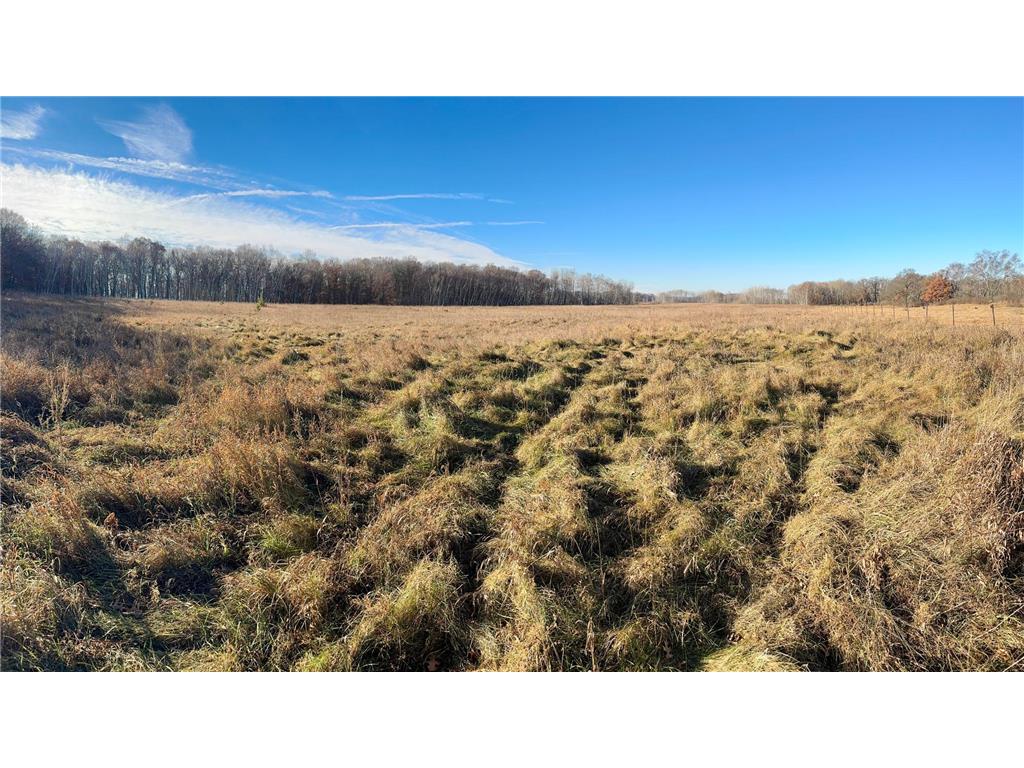 26XXX 175th Ave Fort Ripley MN 56449 6821455 image5