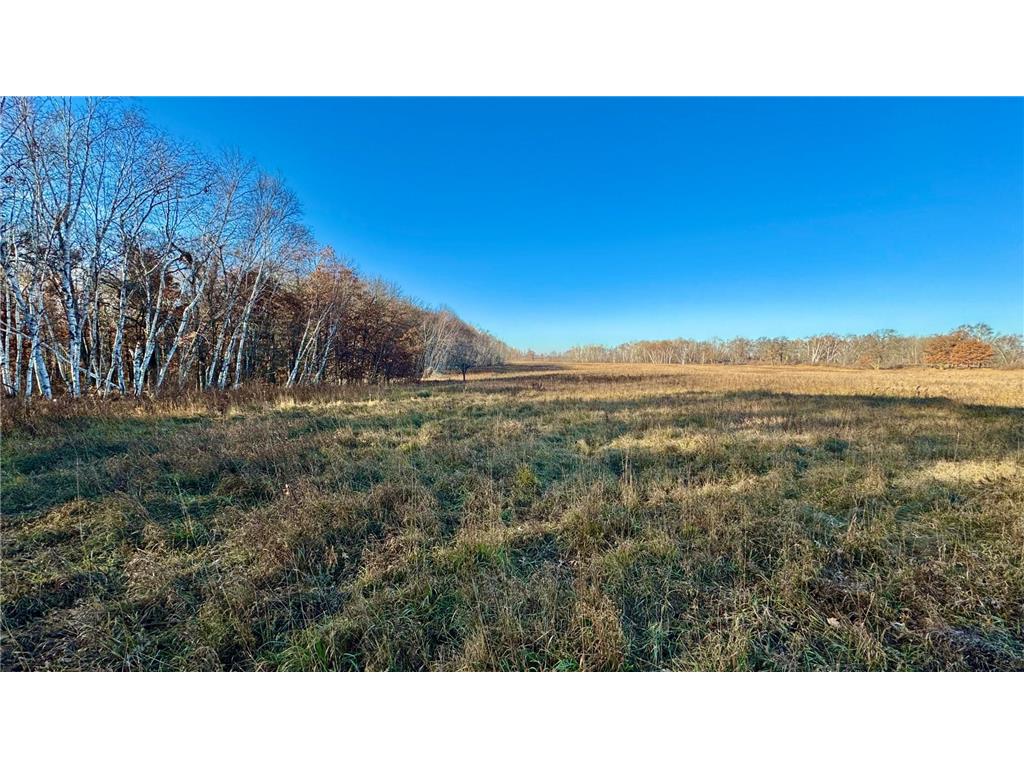 26XXX 175th Ave Fort Ripley MN 56449 6821455 image6