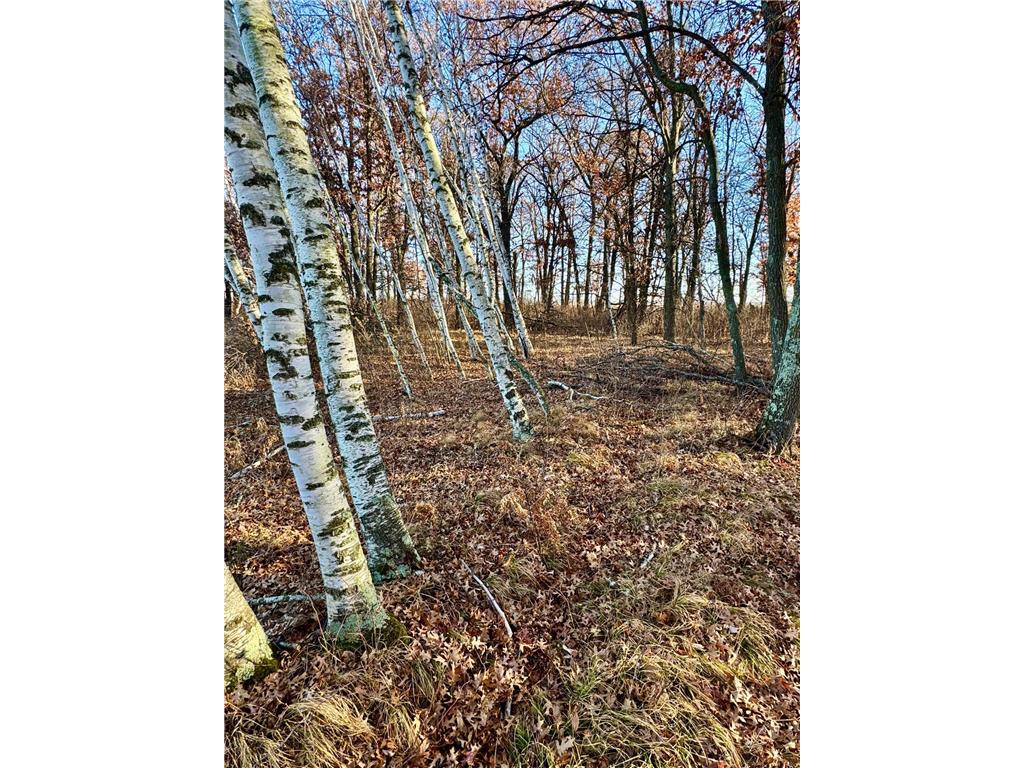 26XXX 175th Ave Fort Ripley MN 56449 6821455 image7