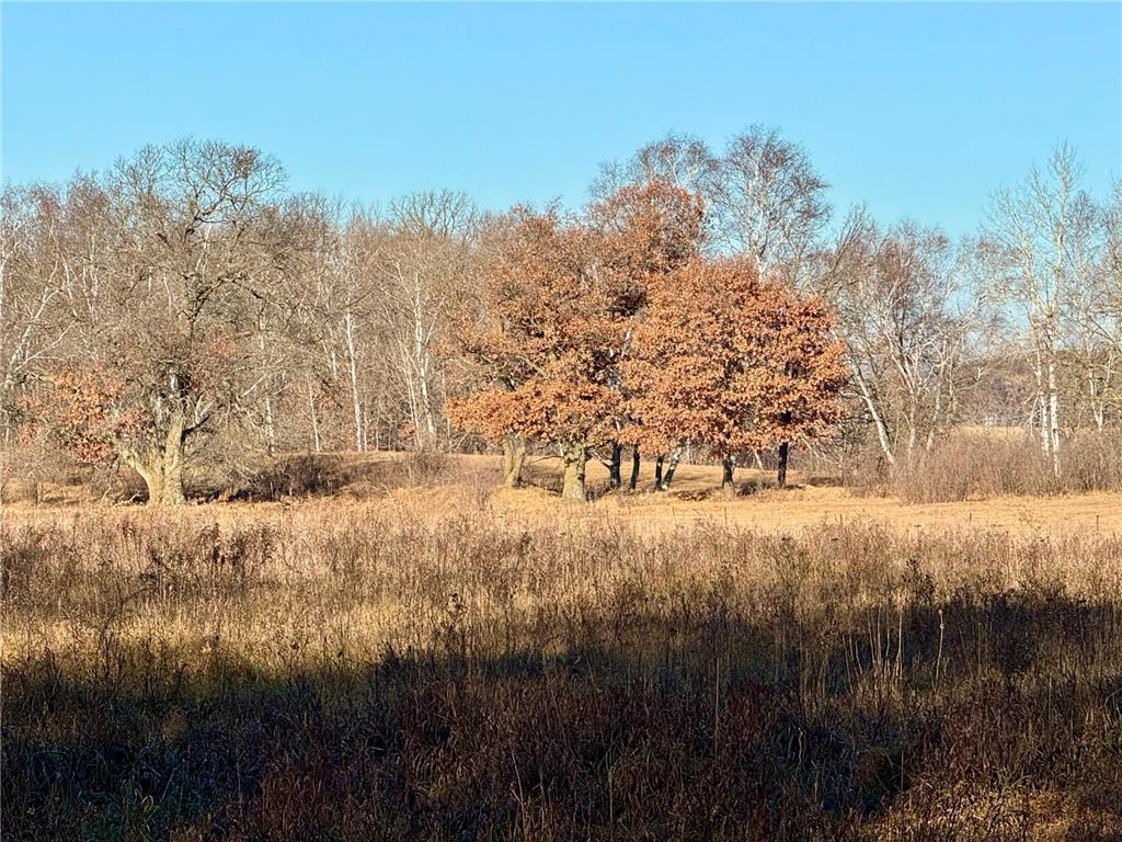 26XXX 175th Ave Fort Ripley MN 56449 6821455 image8