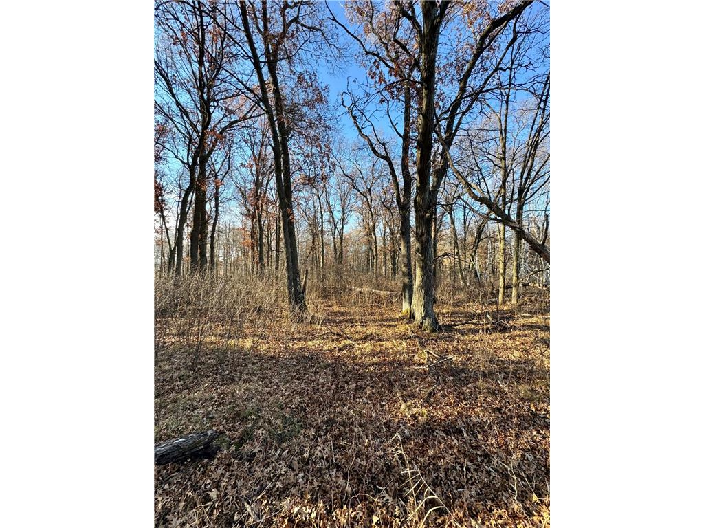 26XXX 175th Ave Fort Ripley MN 56449 6821455 image9