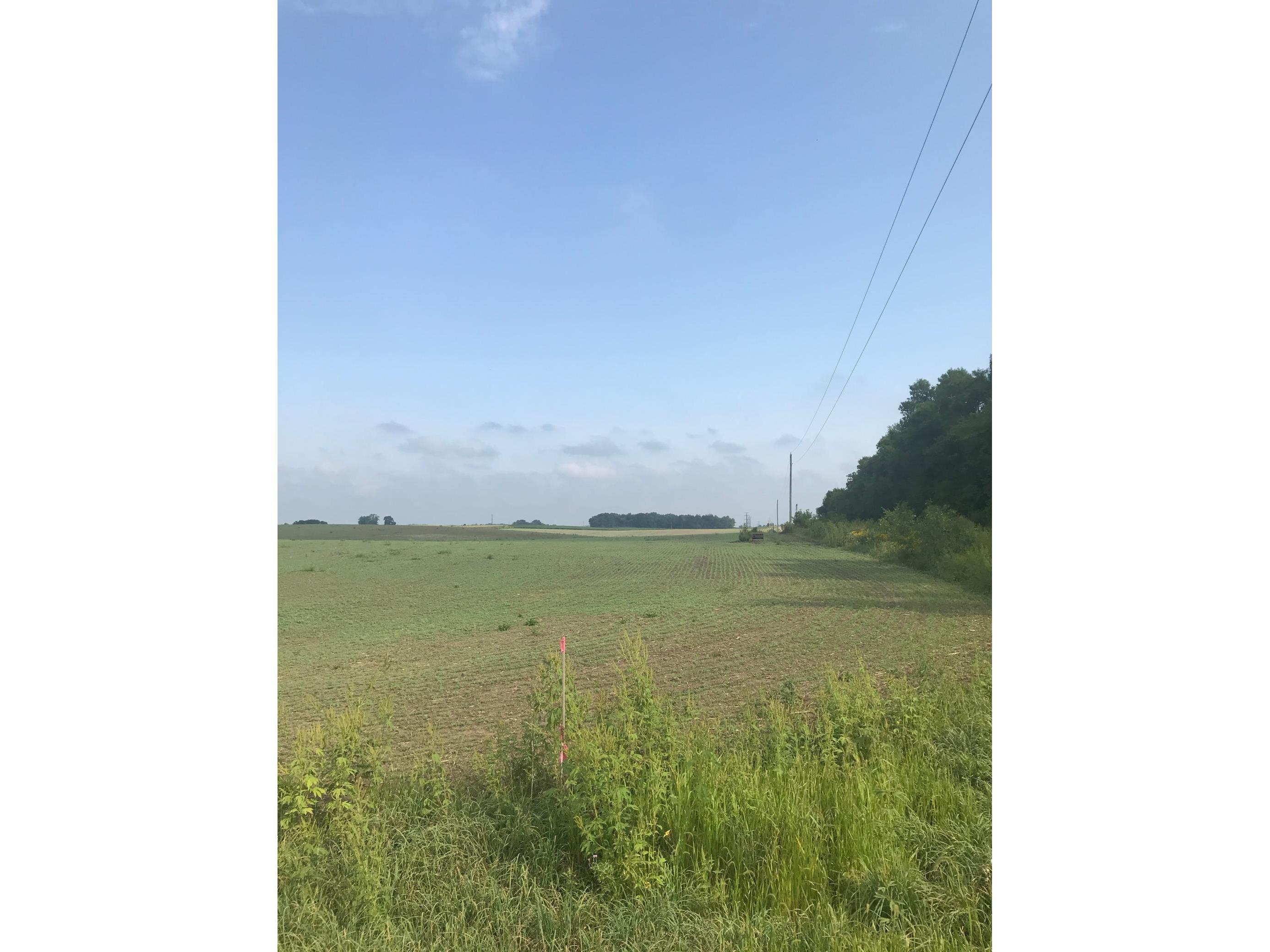 26x33 Jonquil Ave, Elko New Market, MN, 55020 MLS 5621286 Edina Realty