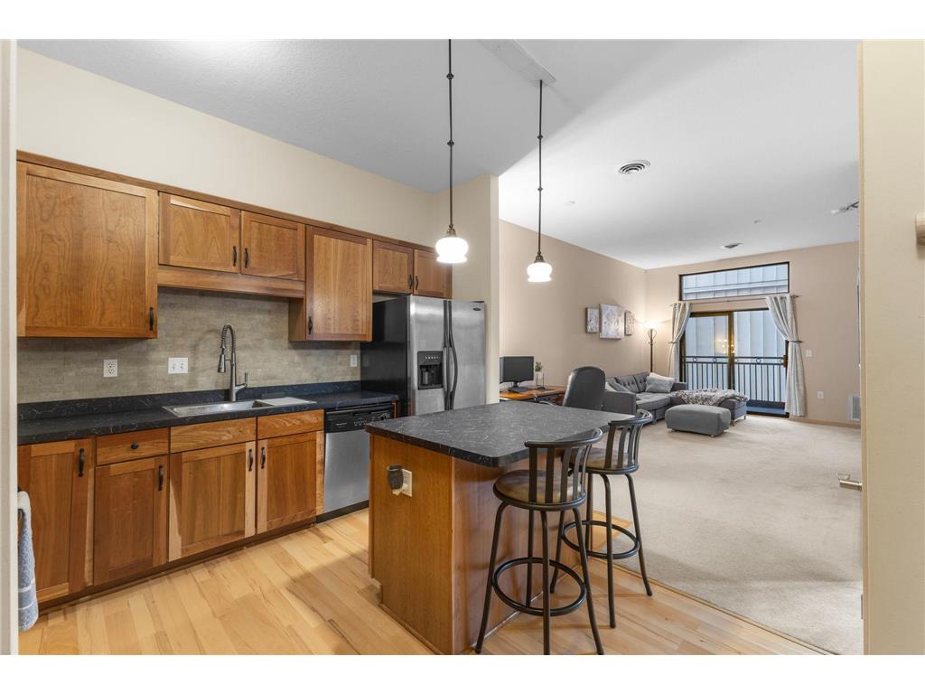 270 4th Street E #203 Saint Paul MN 55101 7015328 image1