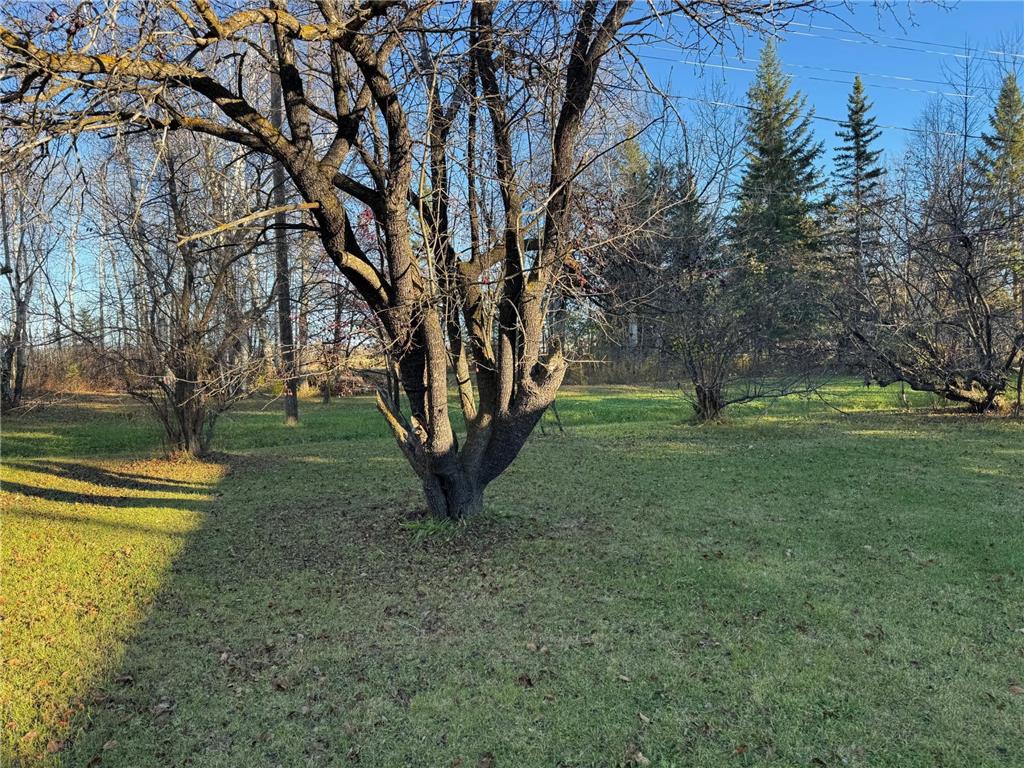 270 Zippel Avenue Williams MN 56686 6813271 image22