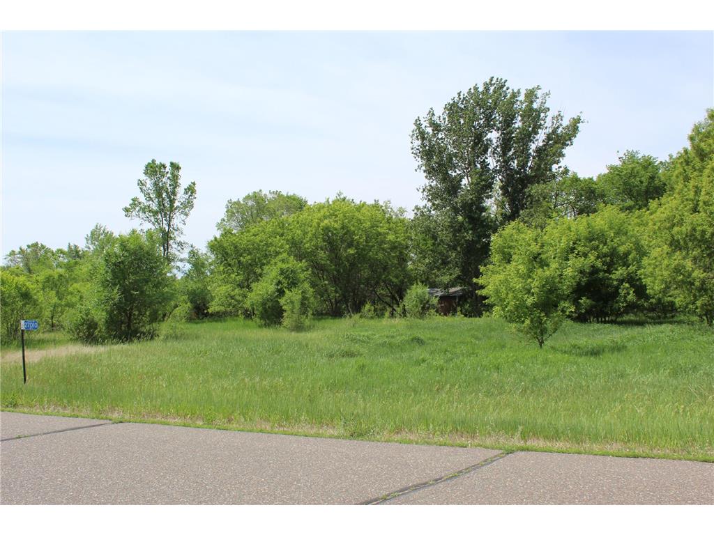 27010 103rd Street NW Livonia Twp MN 55398 7088694 image1
