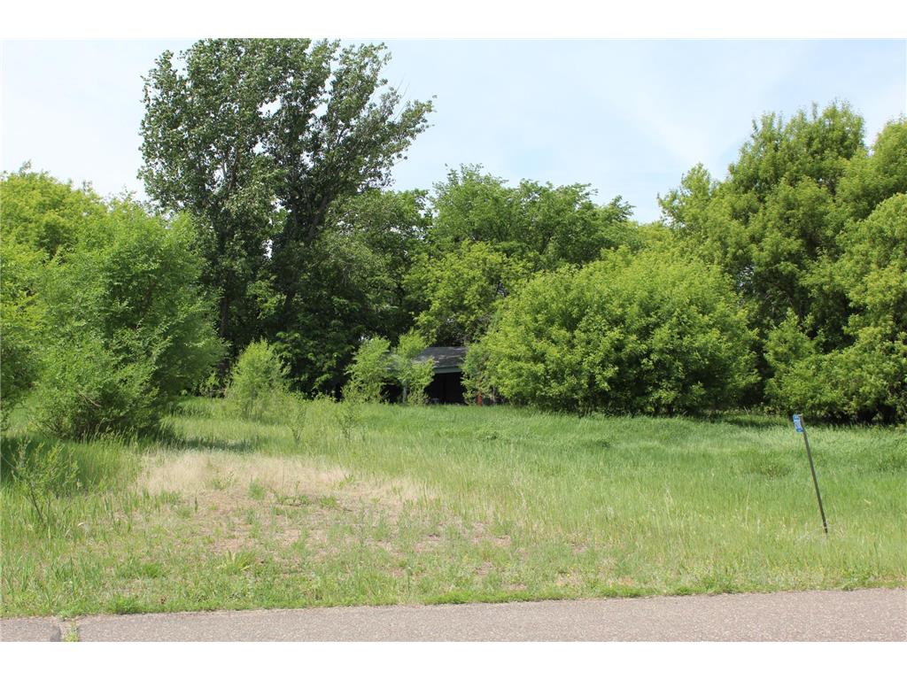 27010 103rd Street NW Livonia Twp MN 55398 7088694 image4