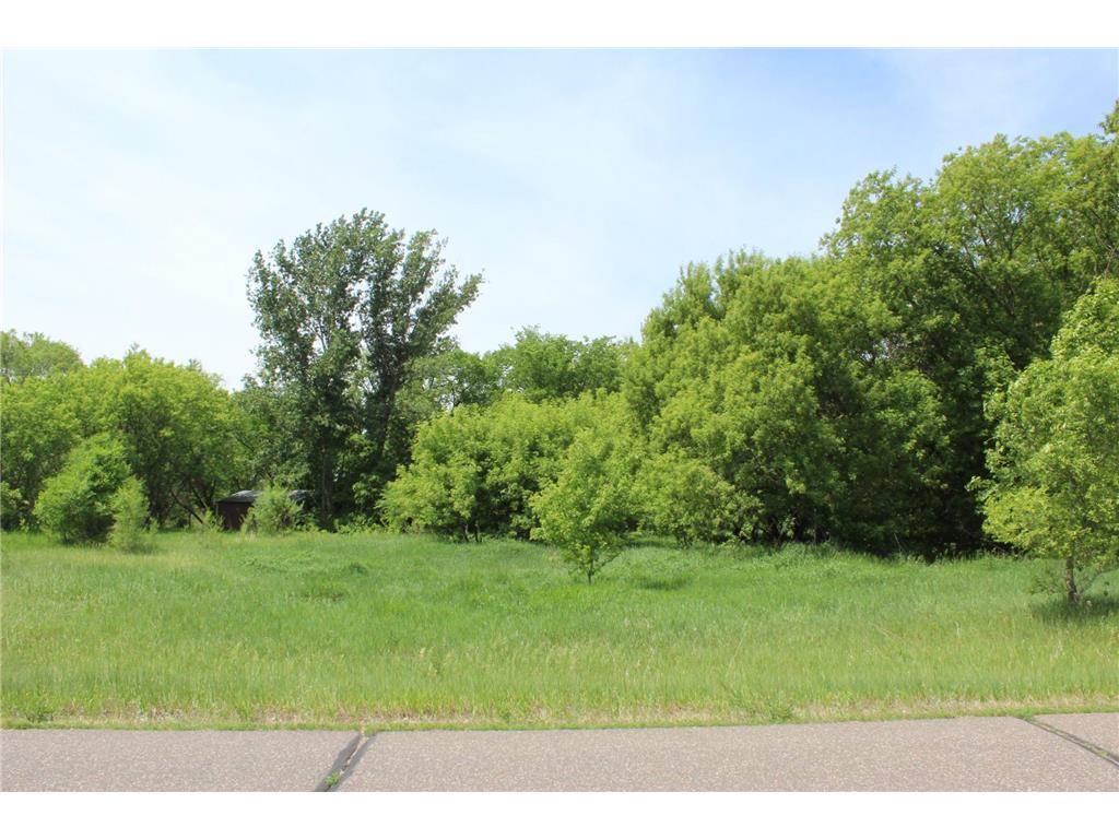27010 103rd Street NW Livonia Twp MN 55398 7088694 image5