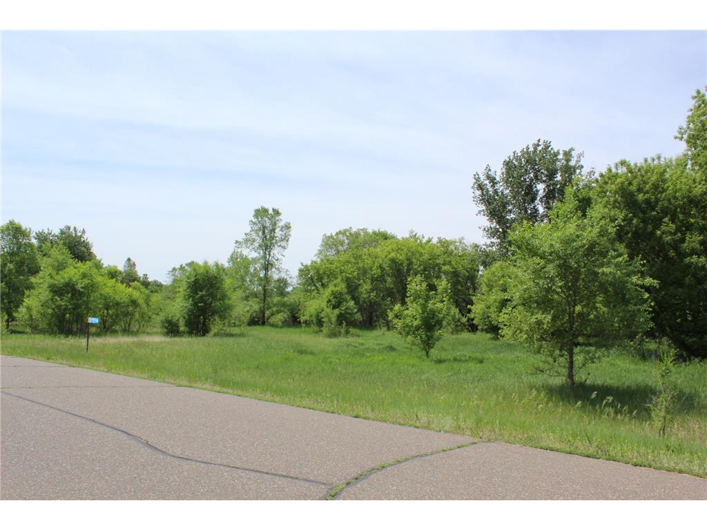 27010 103rd Street NW Livonia Twp MN 55398 7088694 image6