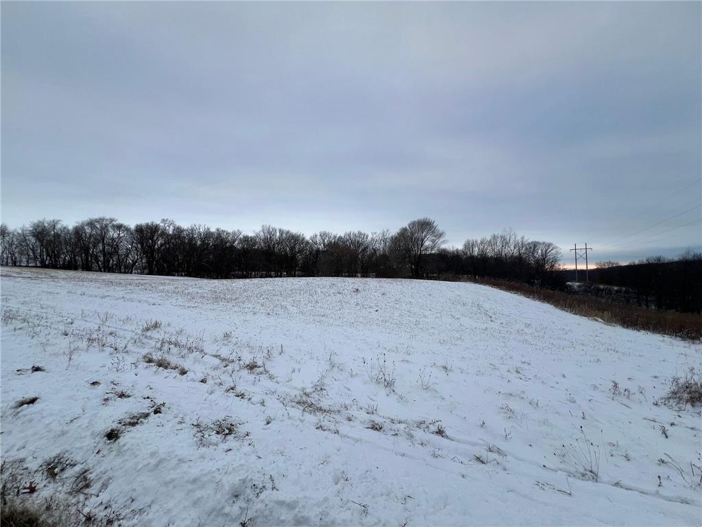 27021 River View Court Wacouta Twp MN 55066 6654816 image2