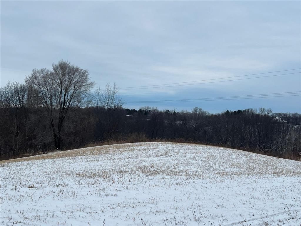 27021 River View Court Wacouta Twp MN 55066 6654816 image4