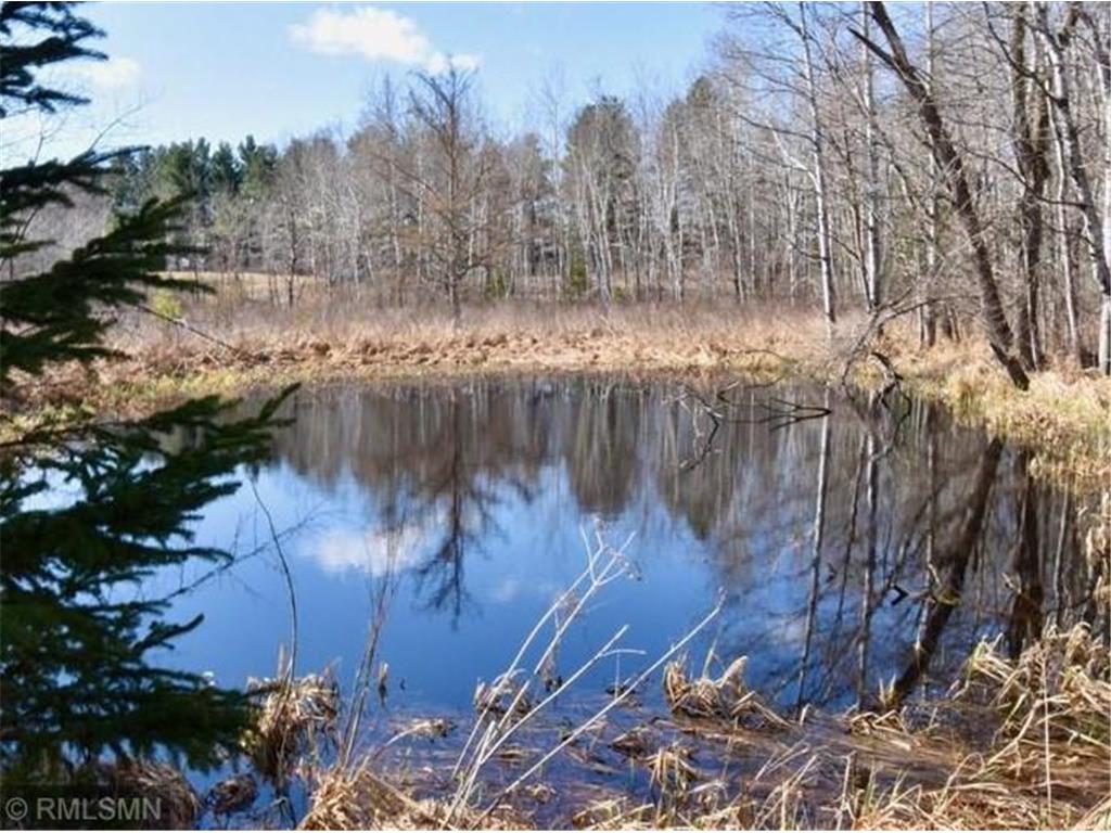 27048 Hawthorn Road N Hinckley MN 55037 7037414 image8