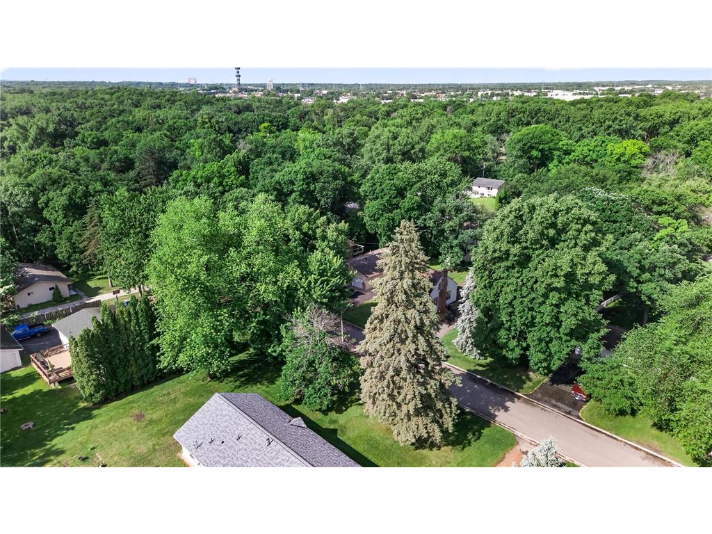 2705 Larch Lane N Plymouth MN 55441 7091079 image40
