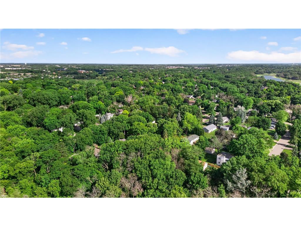 2705 Larch Lane N Plymouth MN 55441 7091079 image46