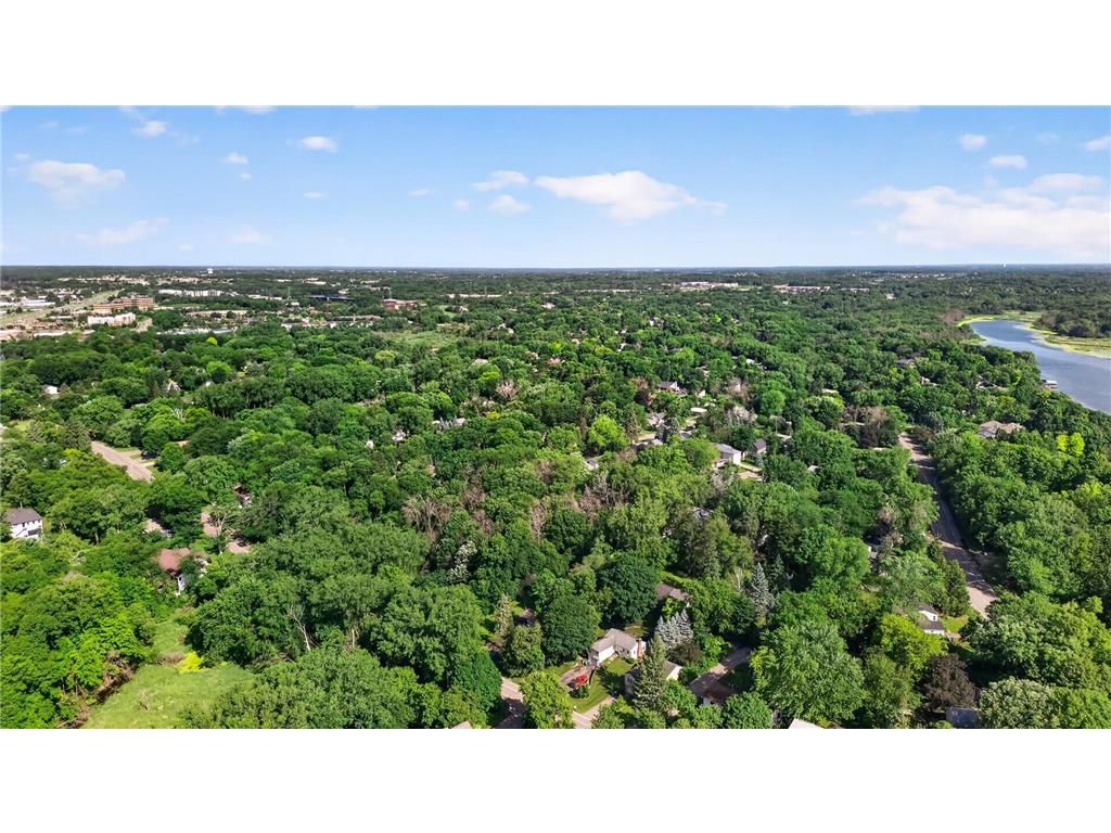 2705 Larch Lane N Plymouth MN 55441 7091079 image52
