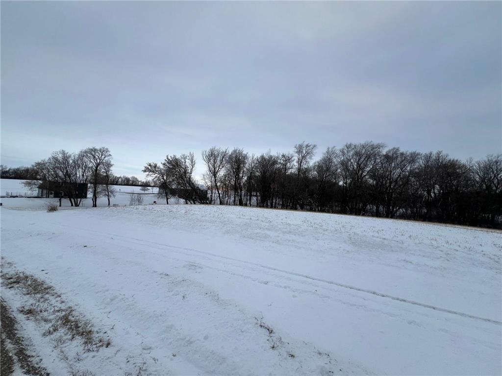 27055 River View Court Wacouta Twp MN 55066 6654823 image2