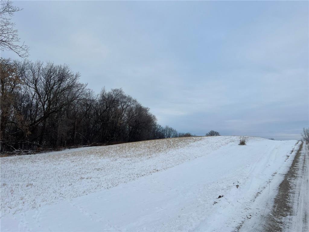 27055 River View Court Wacouta Twp MN 55066 6654823 image3