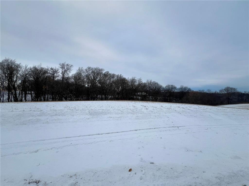 27055 River View Court Wacouta Twp MN 55066 6654823 image4