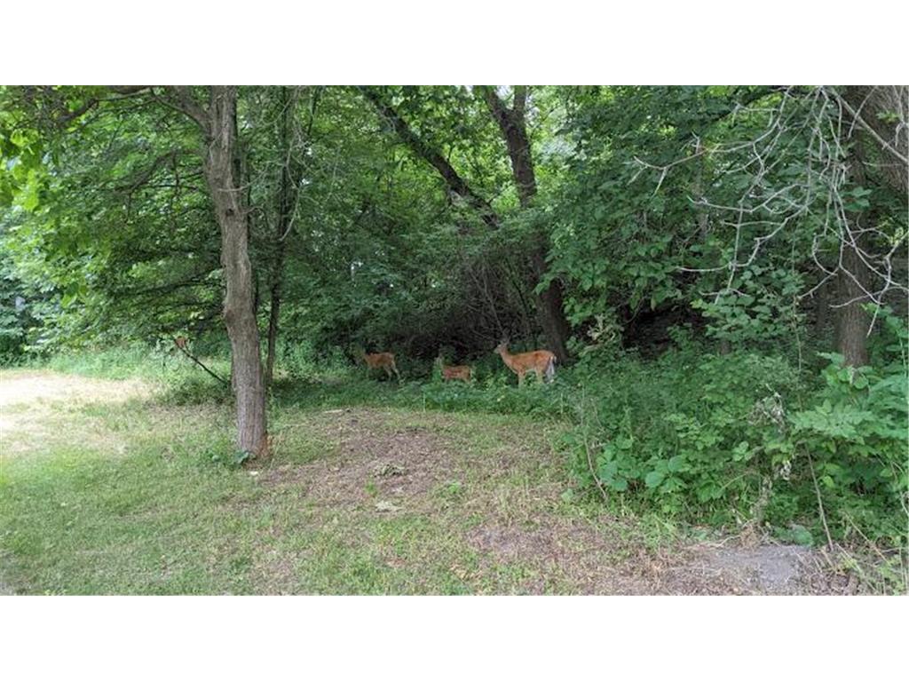 2706 Lakeview Court Little Canada MN 55117 - Gervais 7005470 image75