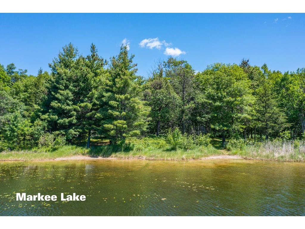 27095 Pelican Lake Road Merrifield MN 56465 - Pelican 7093841 image39