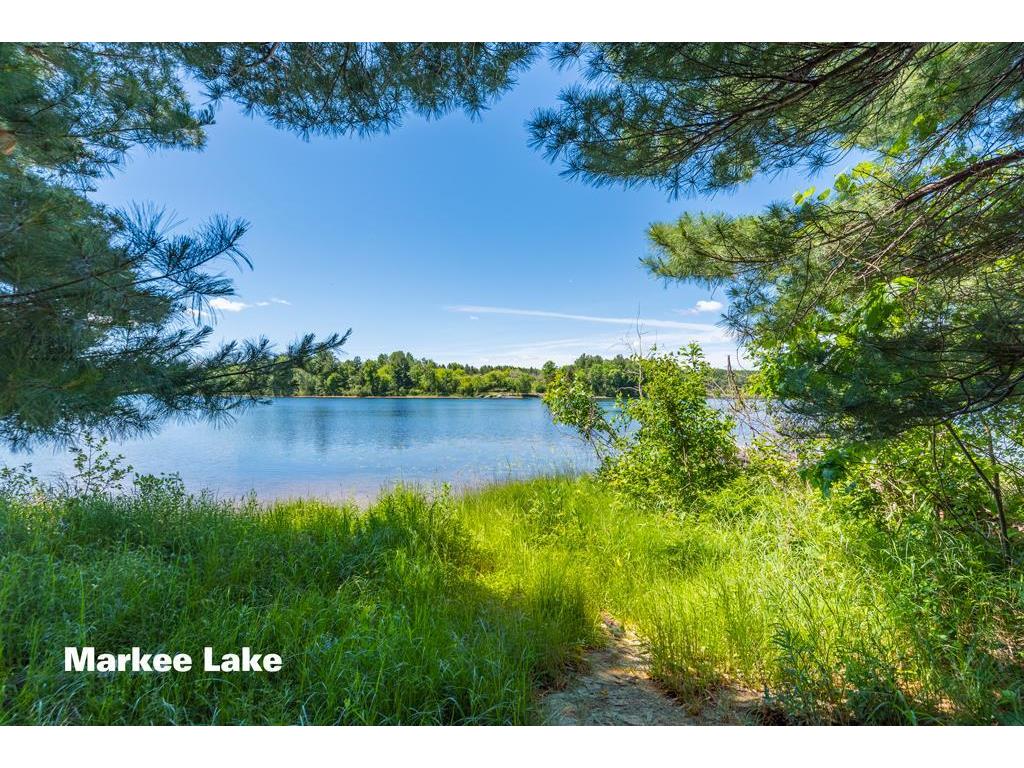 27095 Pelican Lake Road Merrifield MN 56465 - Pelican 7093841 image43