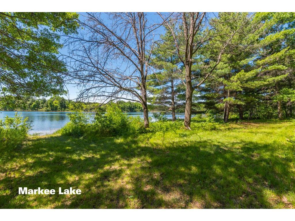 27095 Pelican Lake Road Merrifield MN 56465 - Pelican 7093841 image44