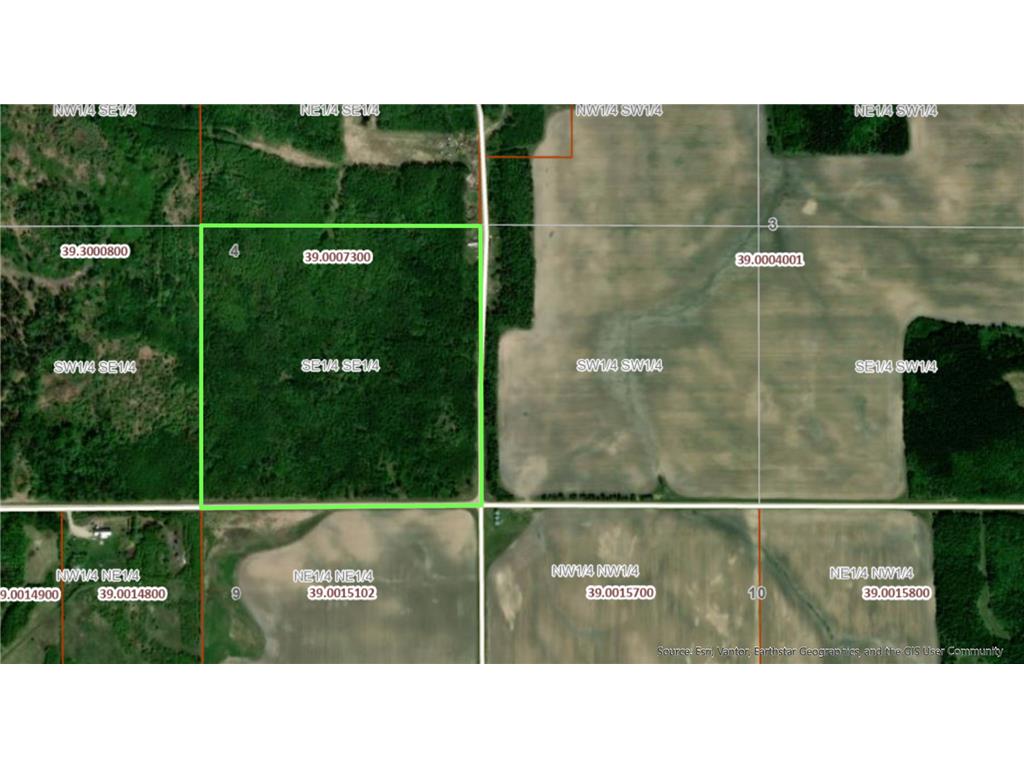 270th Street 610th Ave Southeast Roseau Unorg. Terr. MN 56763 7041405 image2