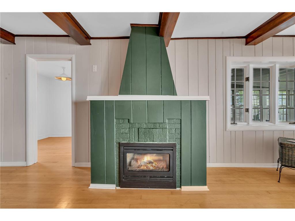 271 Lake Avenue N Spicer MN 56288 - Green 7081012 image15
