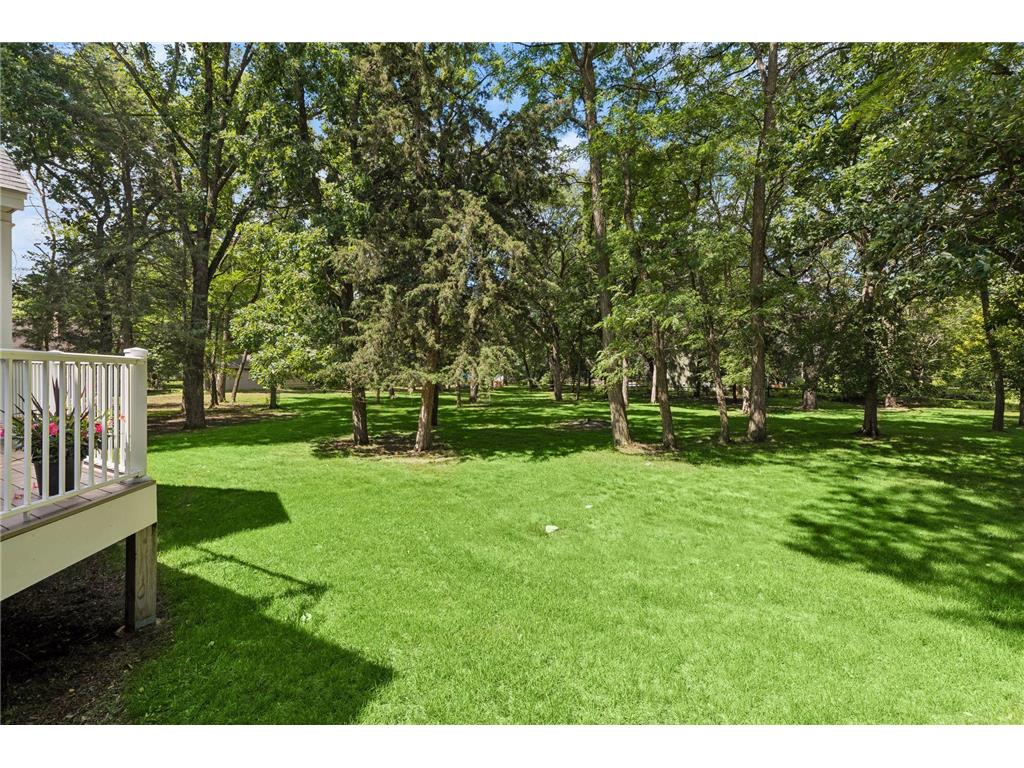 2710 Itasca Avenue S Saint Mary's Point MN 55043 - St Croix River 7098128 image74