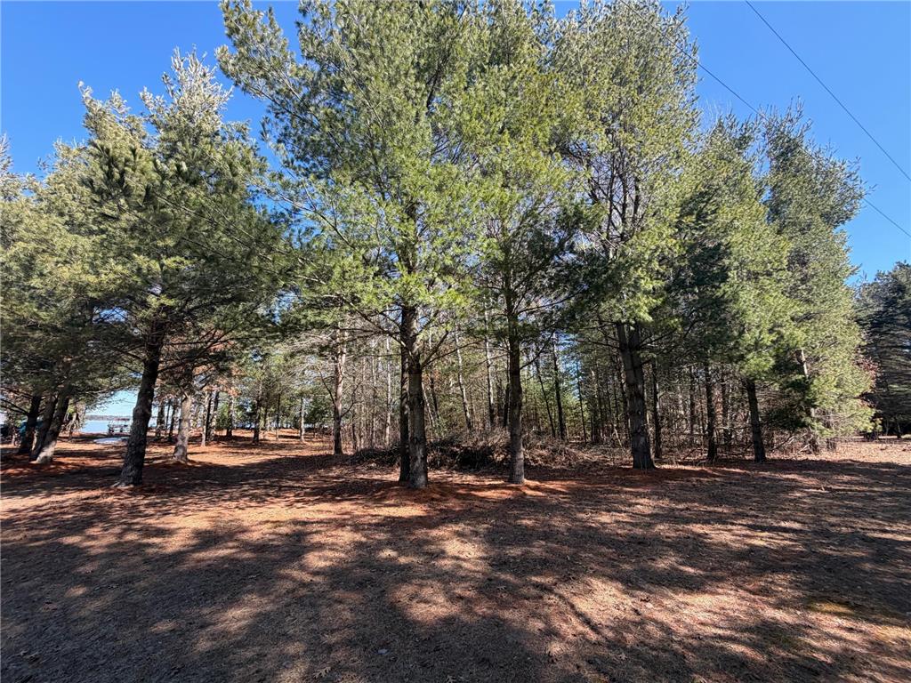 27102 Daniel Drive Meenon Twp WI 54893 - Devils 7040574 image45